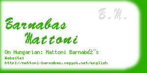 barnabas mattoni business card